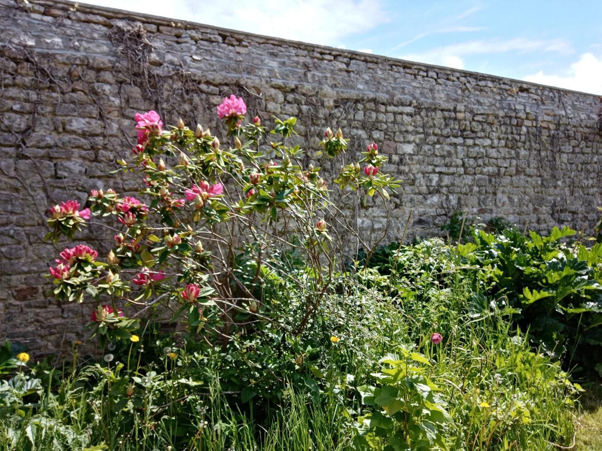 לינה וארוחת בוקר Rose Garden באיו מראה חיצוני תמונה