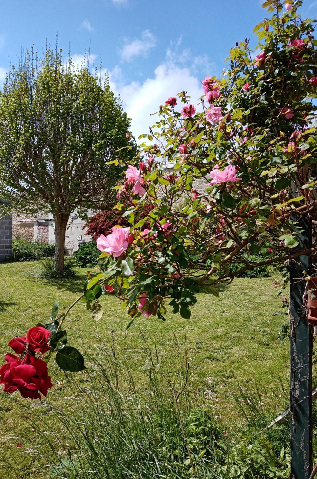 לינה וארוחת בוקר Rose Garden באיו מראה חיצוני תמונה